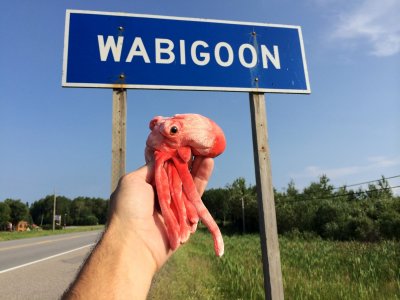 Lake Wabigoon!