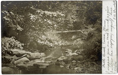 Falls Brook, Essex, Mass. 1905