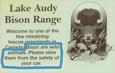 Wood bison warning sign