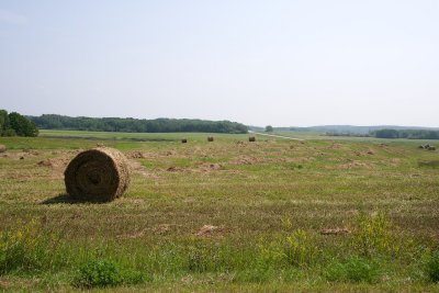 heading southwest from Riding Mountain NP