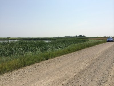 productive meadow pond