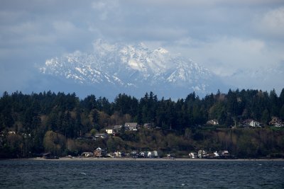 Olympics from Discovery Park