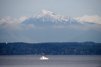 Olympics from Carkeek Park