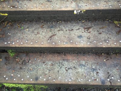 Seattle travelogue photos 2014