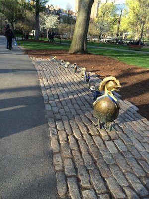Public Garden ducklings dressed for the Marathon