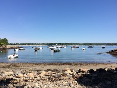 Misery Island