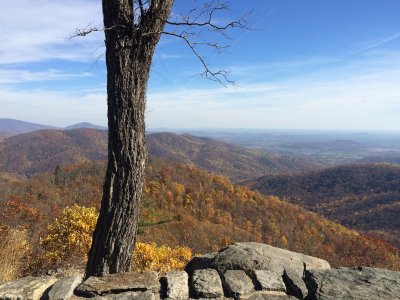 View from Skyline Drive