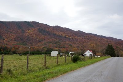 Heading up the Craig Creek valley