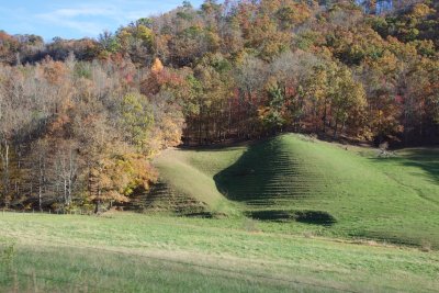 terraced pasture