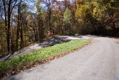 This road taught me why southern country boys like fast cars so much.