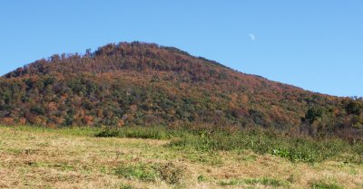 The daylight moon joins the drive
