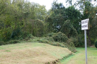 Kudzu takes over the railroad at the edge of town
