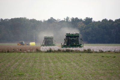 A tractor takes the egg away
