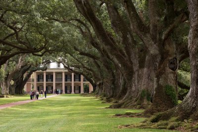 Oak Alley Plantation