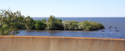 Lake Maurepas from I-55