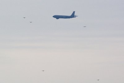 Spooky military plane with vultures 