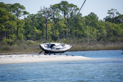 A warning in Dog Island harbor