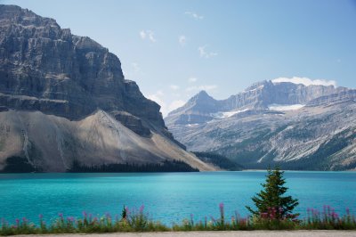 view across Bow Lake from Icefields Parkway