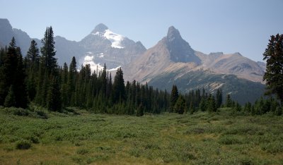 view from Parker Ridge trail
