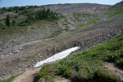 snow! in August!