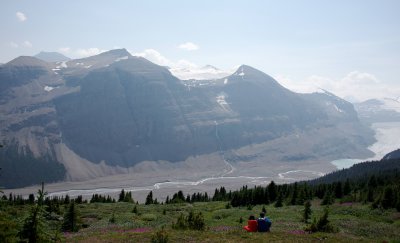 view from Parker Ridge to Saskatchewan Glacier
