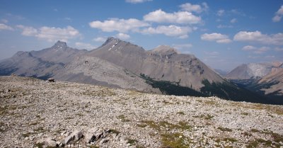 view from Parker Ridge summit