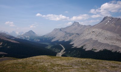 view from Parker Ridge summit: Mt Wilcox, Wilcox Pass and Nigel Peak