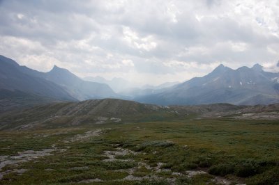 looking east down Wilcox Pass
