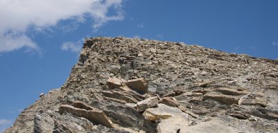 Mountain Goats still checking me out - goat trail to right