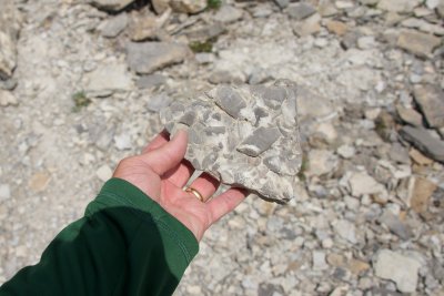 conglomerate rock