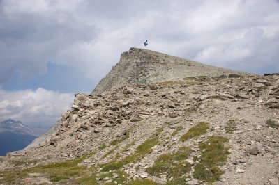 Mountain Goats are still up there