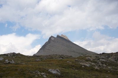 The goats' perch on Wilcox Peak