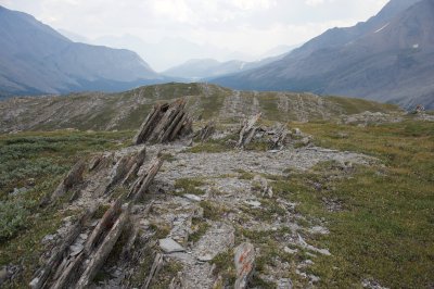 geological strata like fences in a meadow
