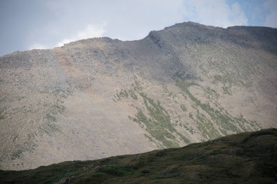 Looking back at the flank of Wilcox Peak - there's a human trail up there after all (rising from left to right)