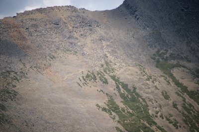 I'll have to try that trail next time
