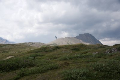 the mountain goats probably could see me all the way from here - almost a mile away