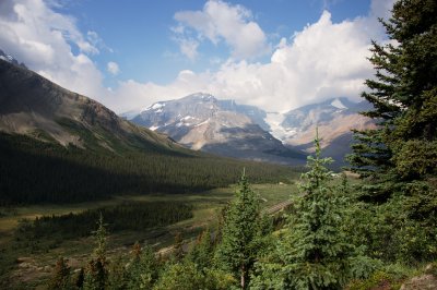 climbing up to Wilcox Pass