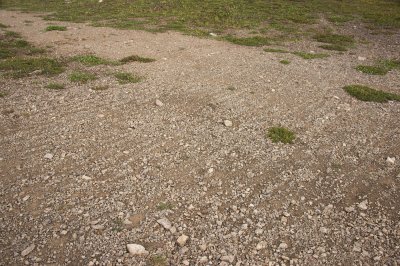Looks like a raked Zen garden, but the pattern is caused by frost somehow