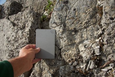 more coral (?) rock