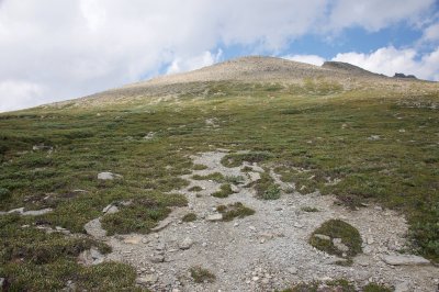 looking up the mountain - this is where I found the larks