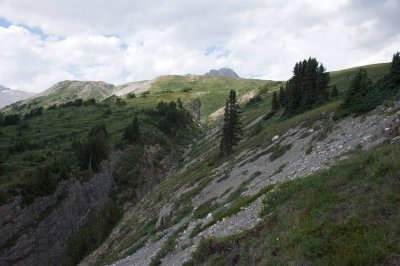 looking back, Wilcox Peak in the distance (finally out of sight of the goats)