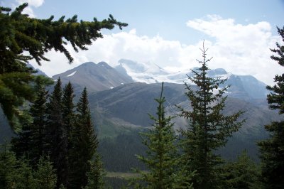 Below treeline again