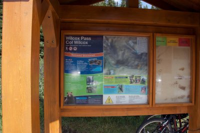 Wilcox Pass trailhead