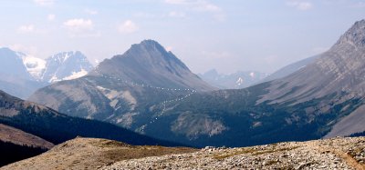 Wilcox Pass from Parker Ridge