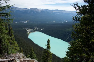 Lake Louise from the Big Beehive
