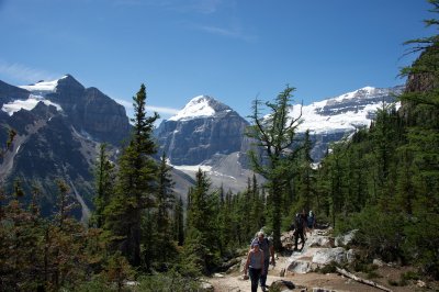 Trail up the valley towards the glacier