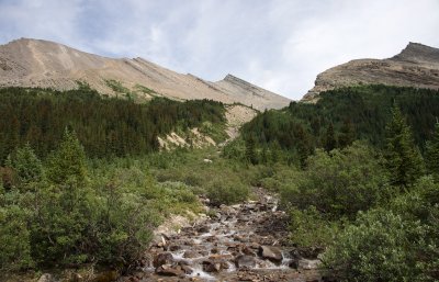 looking north along the trail