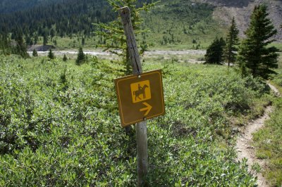 equestrian trail (seemed little-used)