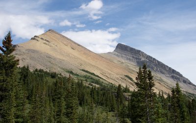 Limestone and Dolomite