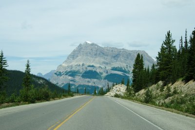 north on the Icefields Parkway